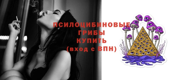 МДПВ Белокуриха