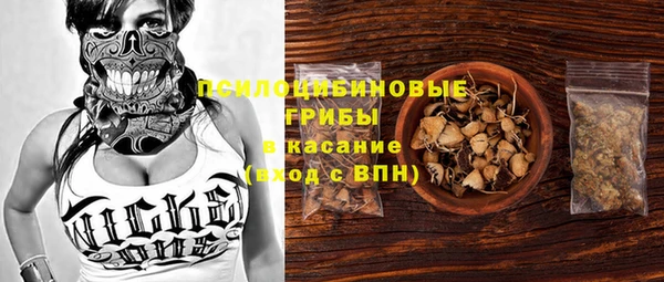 МДПВ Белокуриха