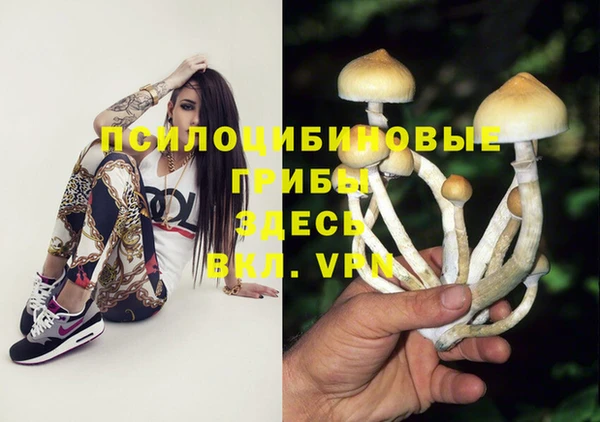 гидра Белоозёрский