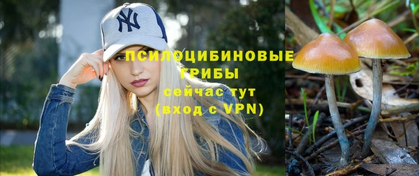 МДПВ Белокуриха
