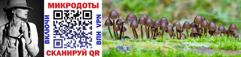 мега маркетплейс  Воскресенск  Псилоцибиновые грибы Psilocybe 